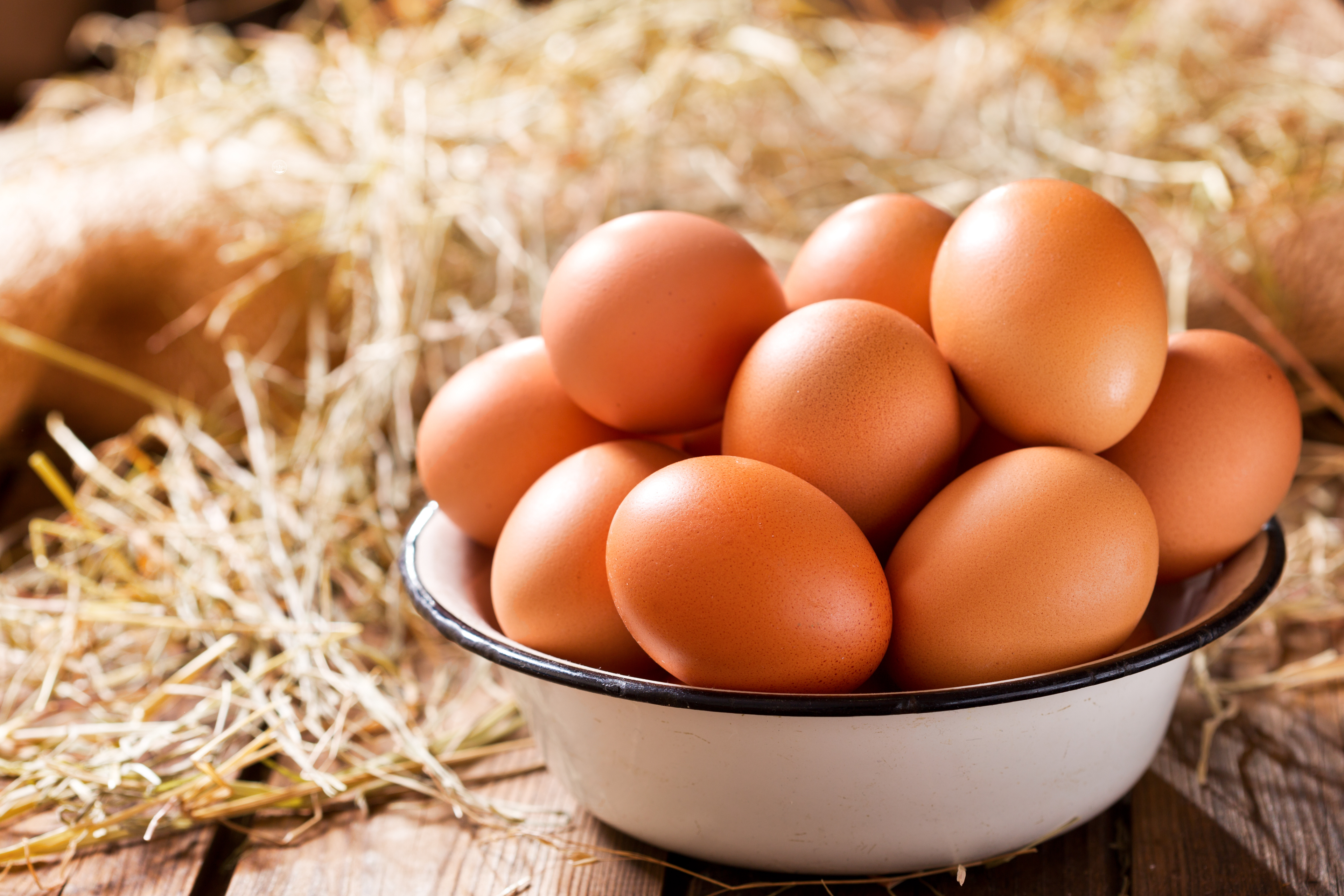 Farm Fresh Pasture-Raised Eggs – Corn-Free & Soy-Free